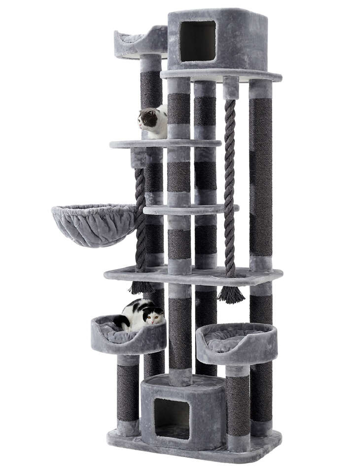 Nobby Kratzbaum Kyla